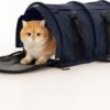 Comfortable Travel for Pets