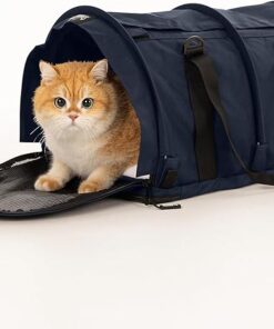 Comfortable Travel for Pets