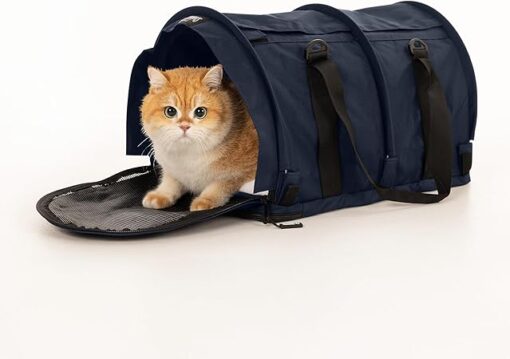 Comfortable Travel for Pets