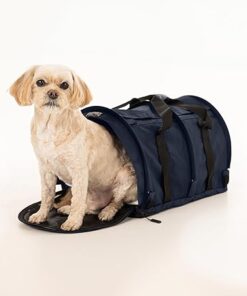 Comfortable Travel for Pets